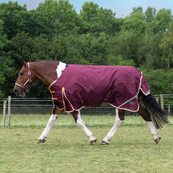 Gallop Trojan Xtra 100 Duraproof Turnout