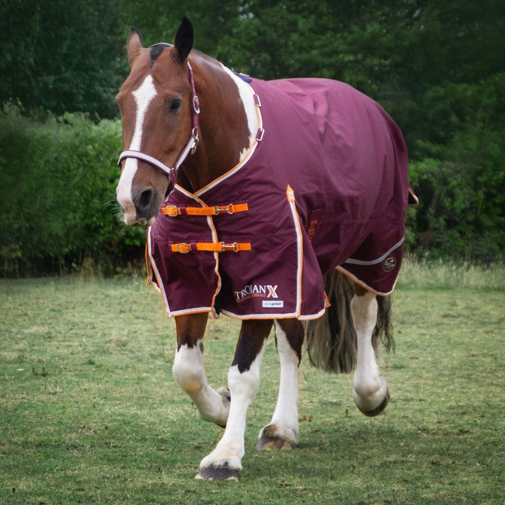 Gallop Trojan Xtra 100 Duraproof Turnout