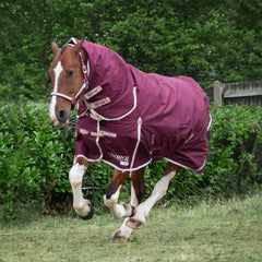 Gallop Trojan Xtra 100g Duraproof Combo Turnout