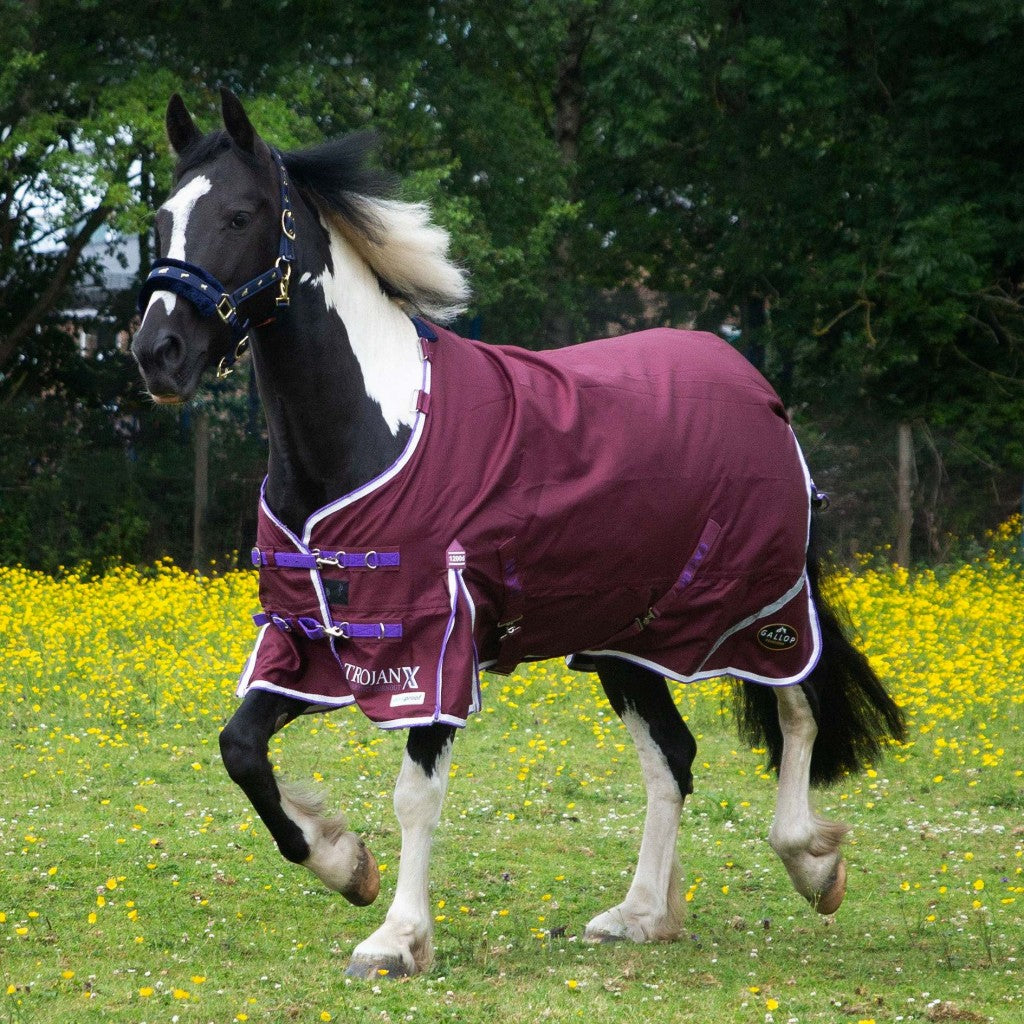 Gallop Trojan Xtra Lightweight Duraproof Turnout Rug