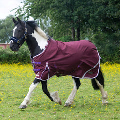 Gallop Trojan Xtra Lightweight Duraproof Turnout Rug
