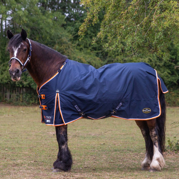 Gallop Trojan 100g Duraproof Turnout Rug