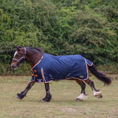 Gallop Trojan 100g Duraproof Turnout Rug