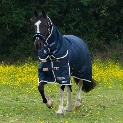 Gallop Trojan 100g Duraproof Combo Turnout