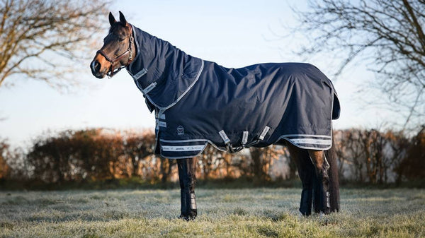 LeMieux Arika Storm-Tek Rug 350g