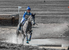 racing colours
