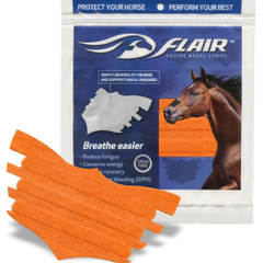 Flair Strip