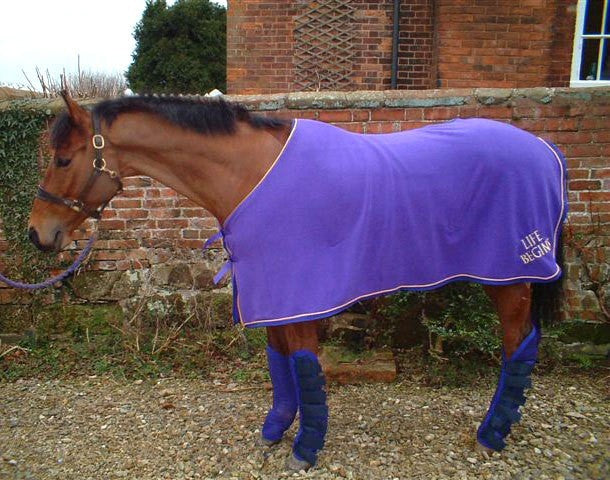 Polar Fleece Rug