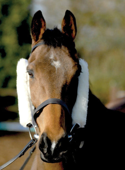 Cheek Pieces/French Blinkers