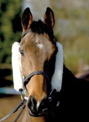 Cheek Pieces/French Blinkers