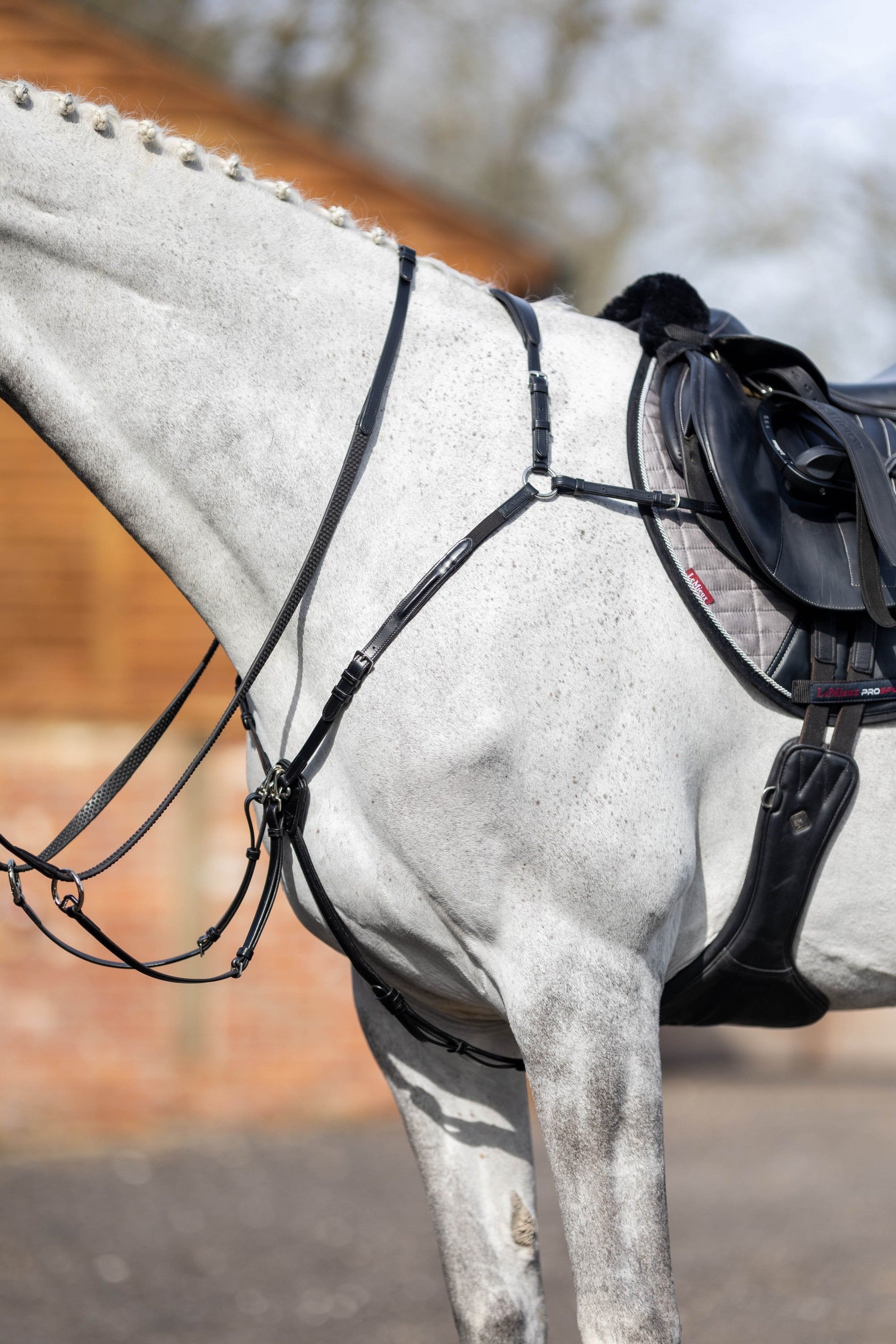 LeMieux Kudos Breastplate with Detachable Martingale