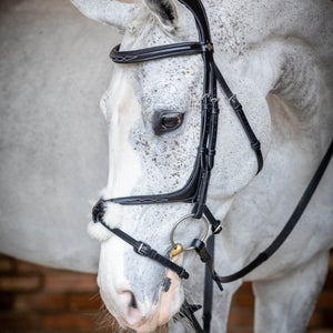 LeMieux Kudos Grackle Bridle