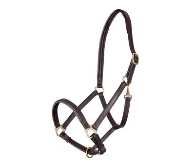 Velociti Gara Ragley Lined Leather Headcollar
