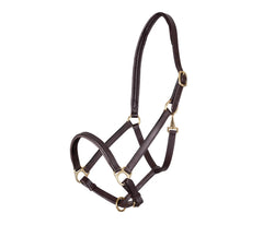 Velociti Gara Ragley Lined Leather Headcollar