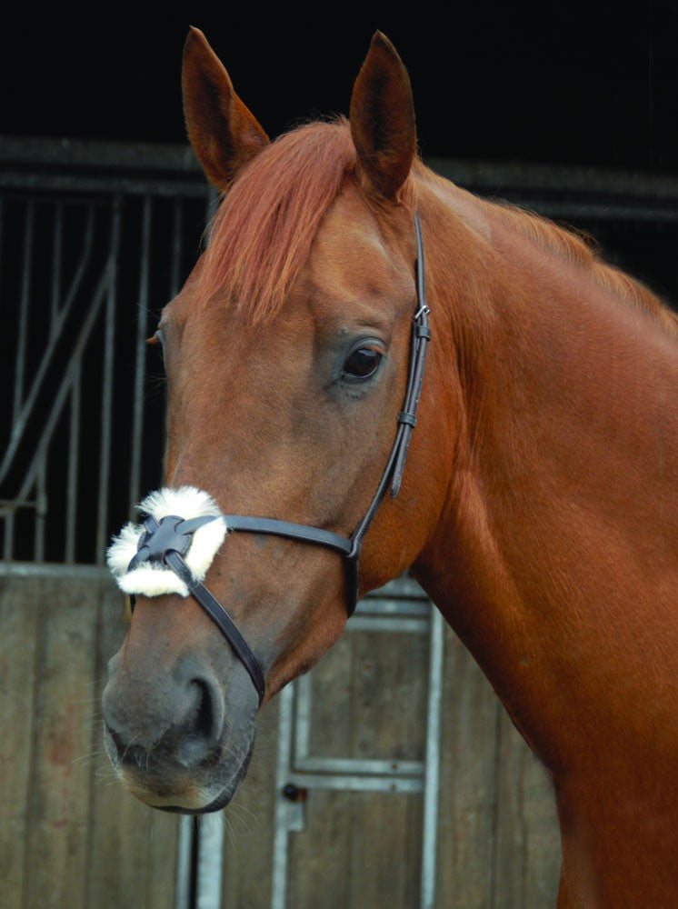 Grackle Noseband