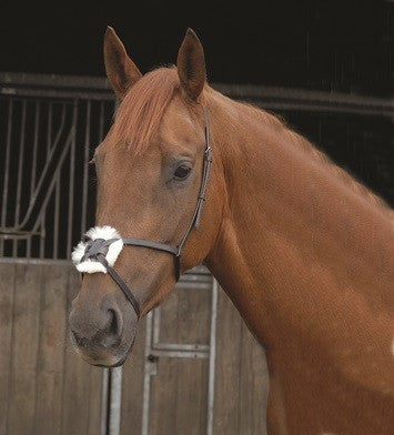 Grackle Noseband
