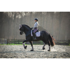 Glac√© Dressage Square SS21
