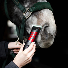 Liveryman Clipper Harmony Plus