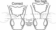 Flair Strip