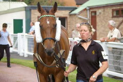 Cheek Pieces/French Blinkers
