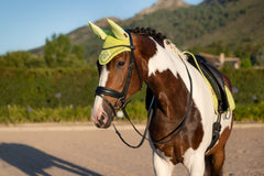 LeMieux Classic Fly Hoods - Seasonal Collections