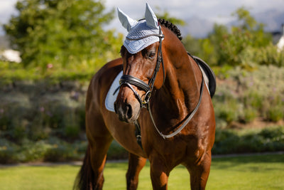 LeMieux Classic Fly Hoods - Seasonal Collections