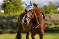 LeMieux Classic Fly Hoods - Seasonal Collections