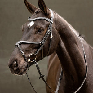 LeMieux Arika Grackle Bridle