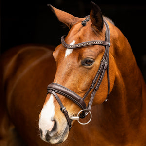 LeMieux Arika Dressage Bridle