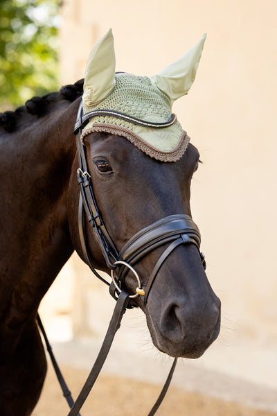 LeMieux Classic Fly Hoods - Seasonal Collections