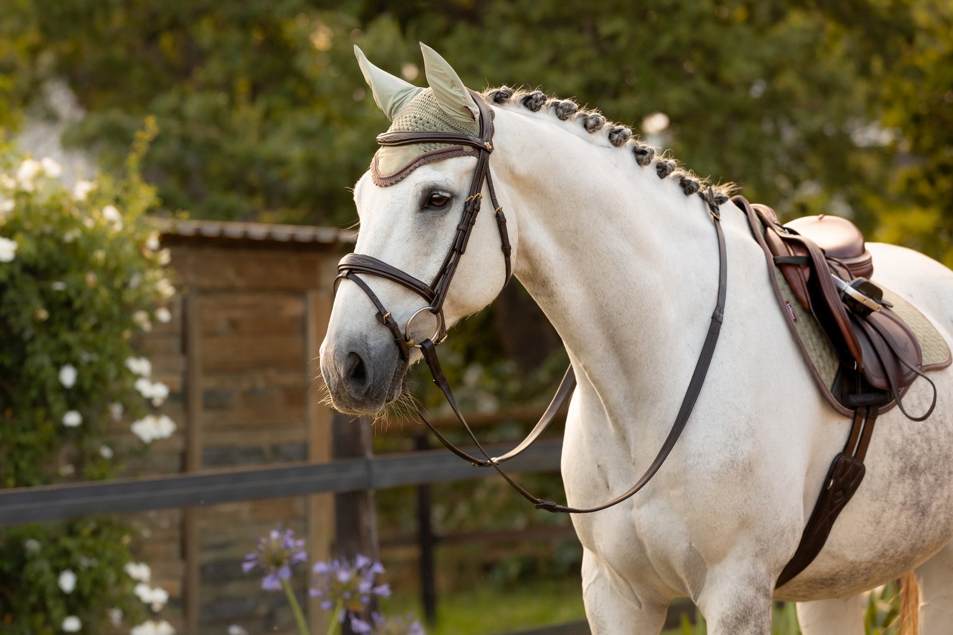 LeMieux Classic Fly Hoods - Seasonal Collections