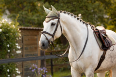 LeMieux Classic Fly Hoods - Seasonal Collections
