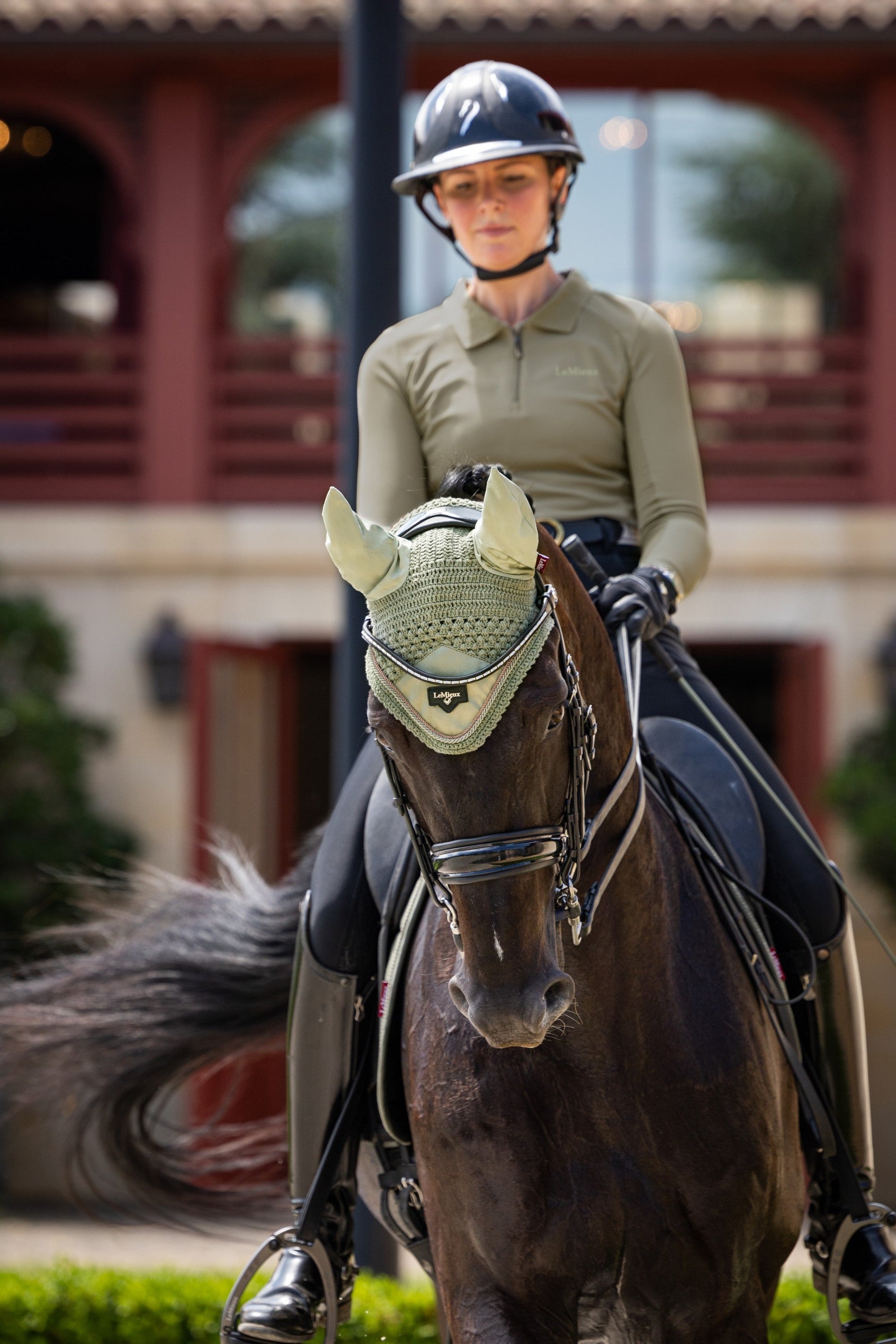 LeMieux Loire Fly Hood