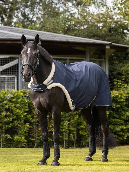 LeMieux Walker Rug