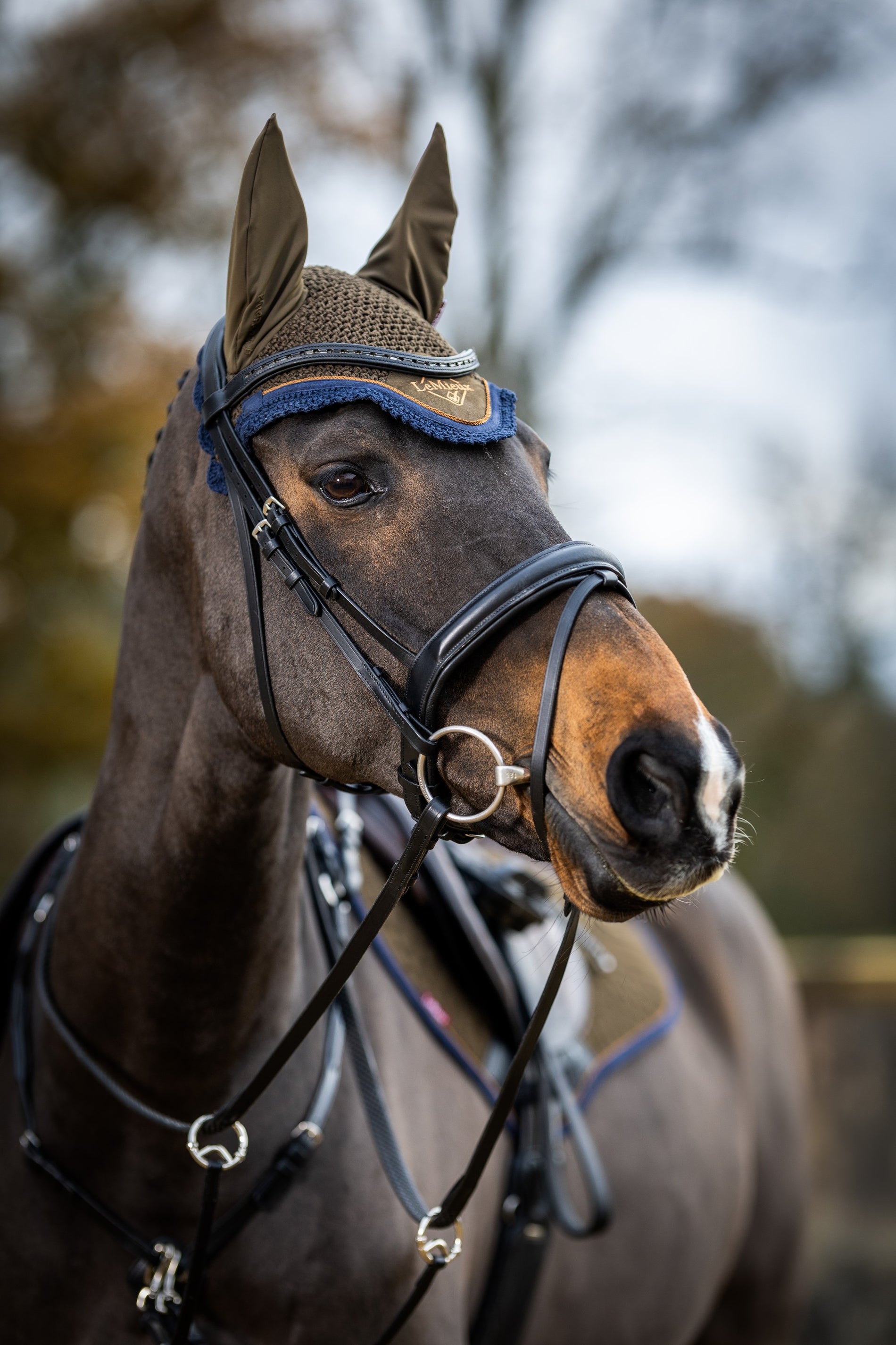 LeMieux Classic Fly Hoods - Seasonal Collections