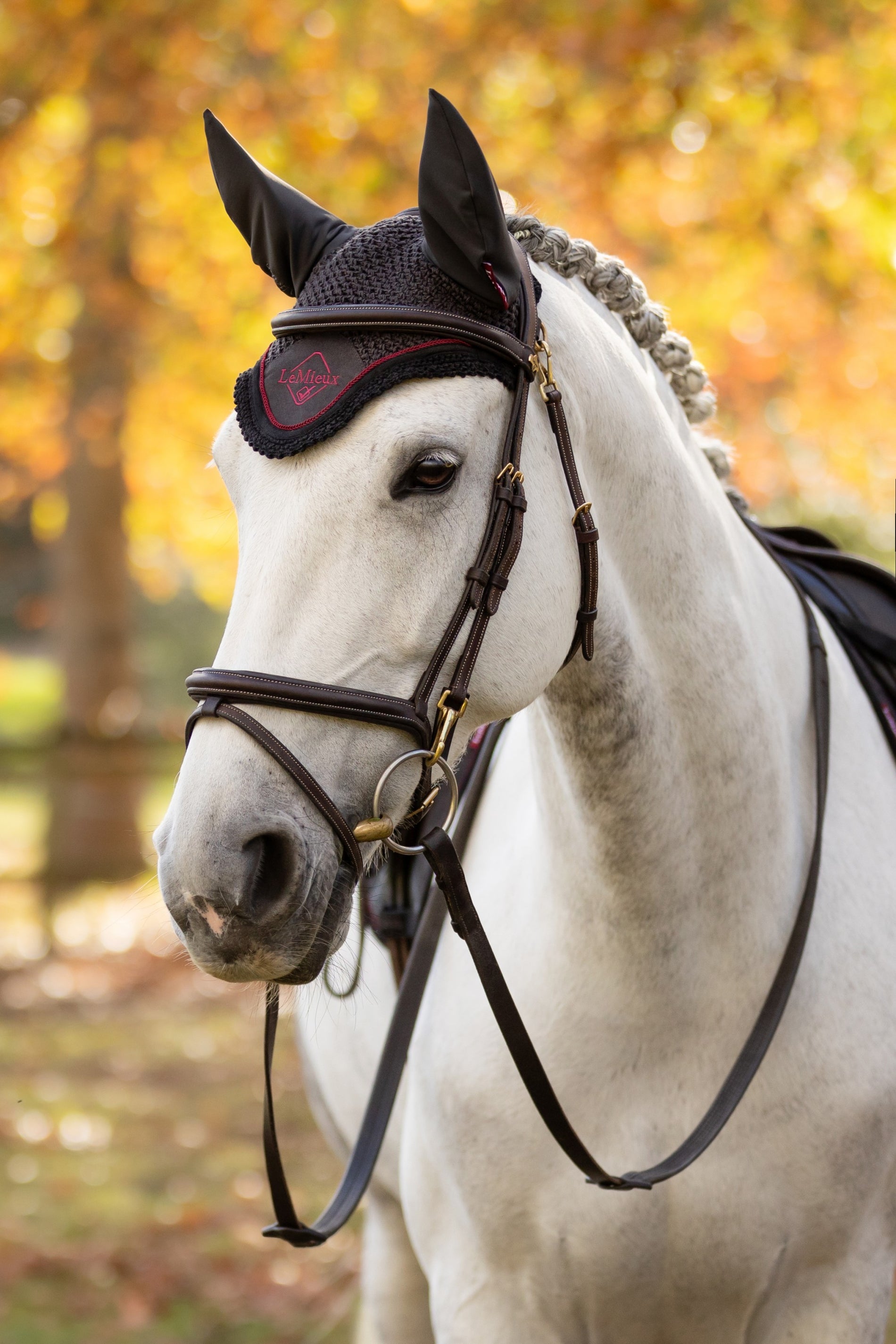 LeMieux Classic Fly Hoods - Seasonal Collections