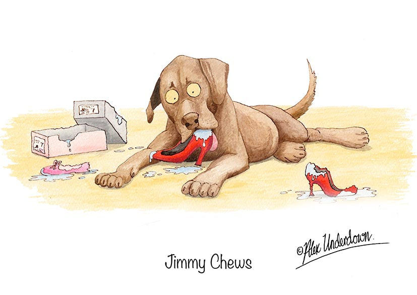 Dog Greeting Cards - Alex Underdown