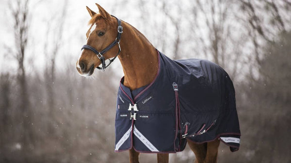 LeMieux Kudos Turnout Rug 350g