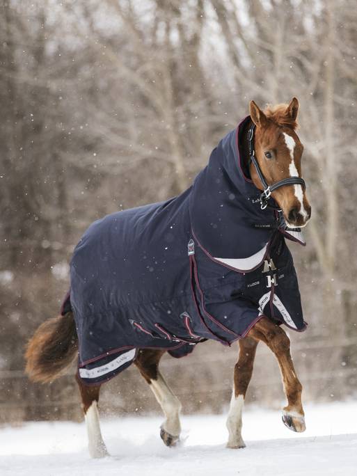 LeMieux Kudos Turnout Rug 350g