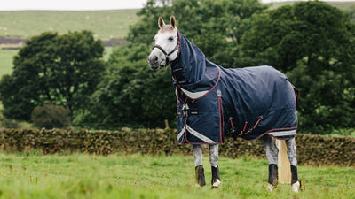 LeMieux Kudos Turnout Rug 50g