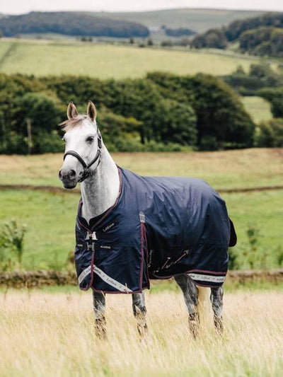LeMieux Kudos Turnout Rug 50g