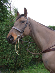 Leather Lead Up Rein