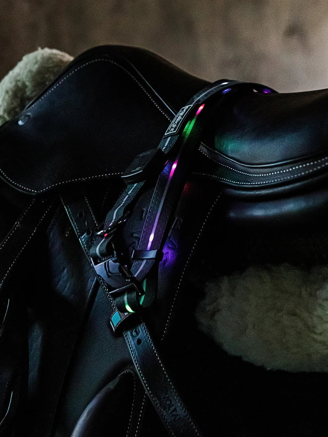 Led Straps Zebbies Equi Light Rechargeable LED Neck Strap – Treehouse Sporting Colours