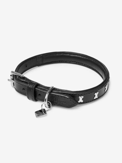 Chelsea Dog Collar