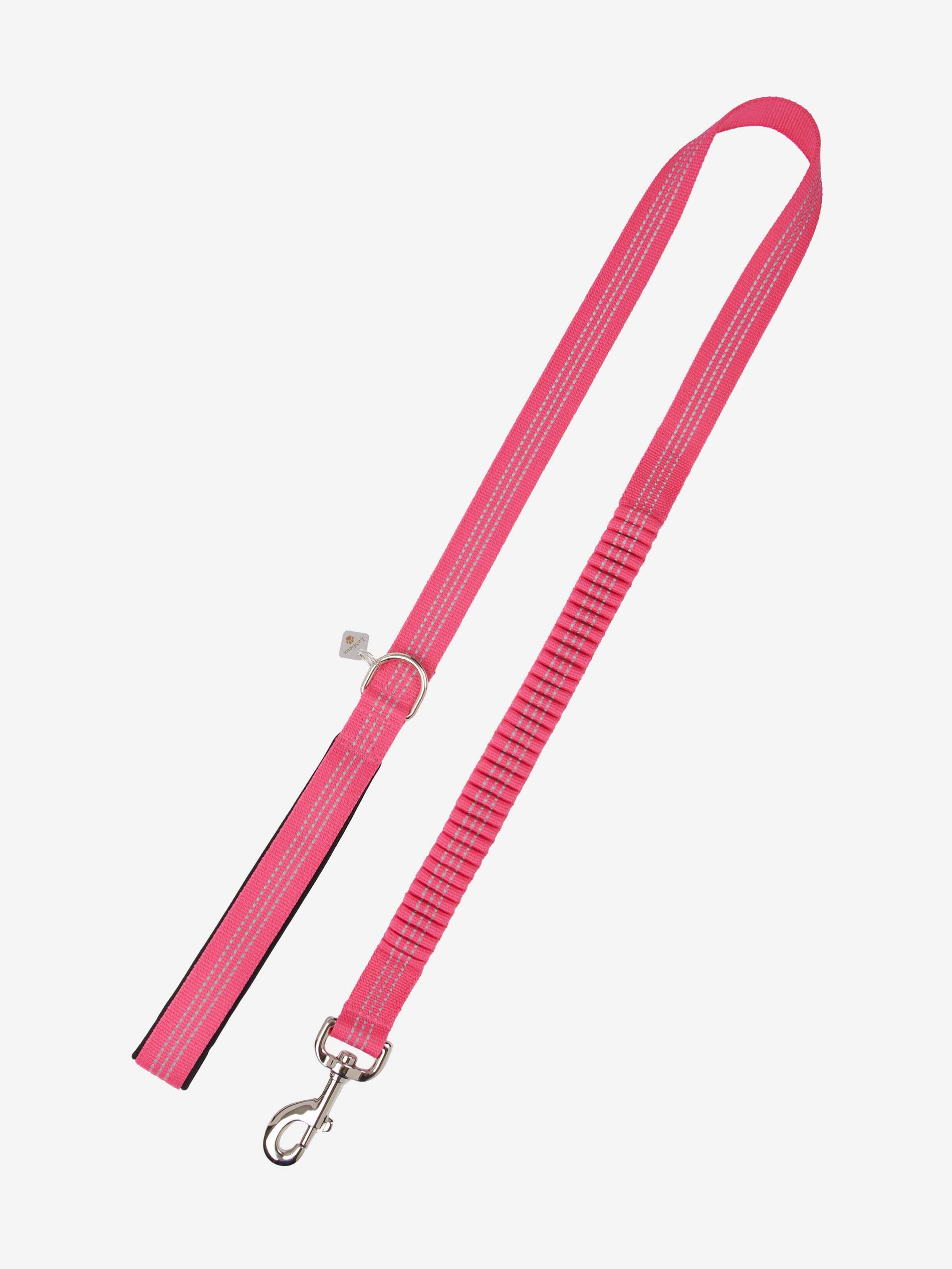 Henley Bungee Dog Lead