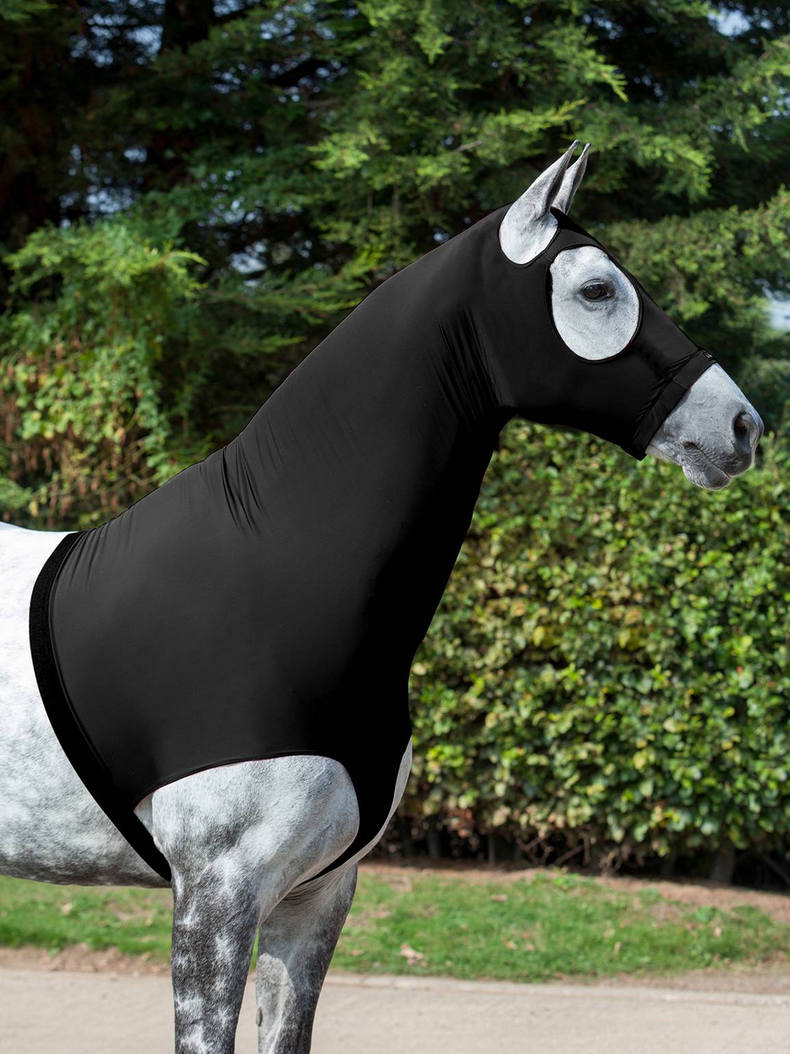 LeMieux Stretch Hood