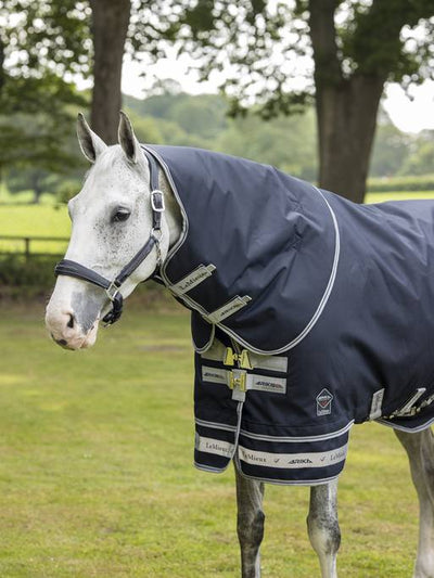 Arika Featherweight Rug 0g