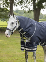 Arika Featherweight Rug 0g
