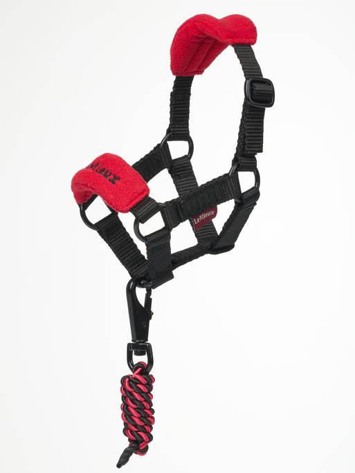 LeMieux Toy Pony Vogue Headcollar