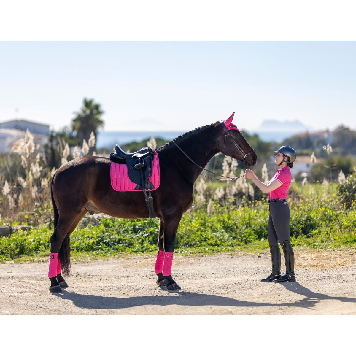 LeMieux Loire Classic Dressage Square